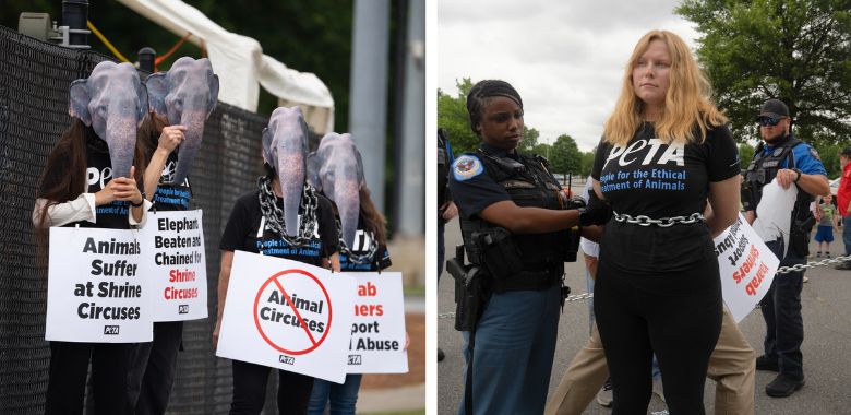 Chained PETA Supporters Block Entrance to Yaarab Shrine Circus Show
