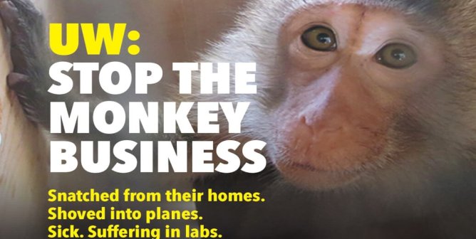 UW: Stop The Monkey Business