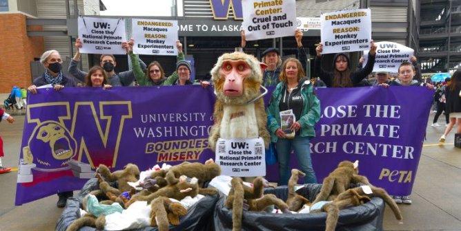 Trash Bins of ‘Dead Monkeys’ Greet UW Grads