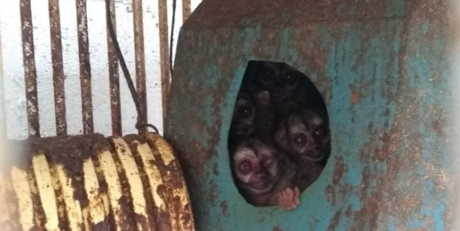 NIH’s Misuse of Taxpayer Money May Soon Take a Major Hit