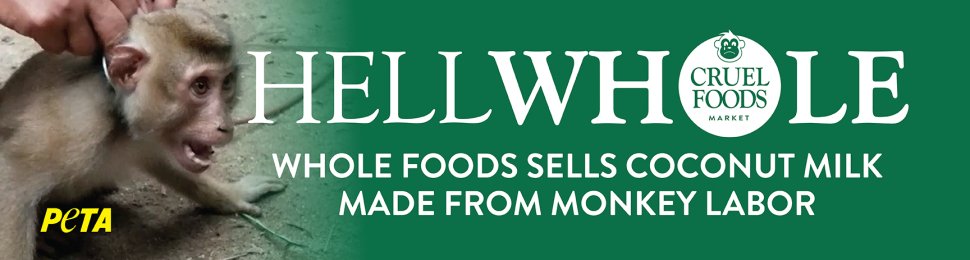 Hellwhole: Whole Foods Sells Coconut Milk Made From Monkey Labor.