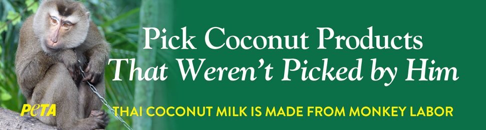 Pick Coconut Products That Weren’t Picked By Him.