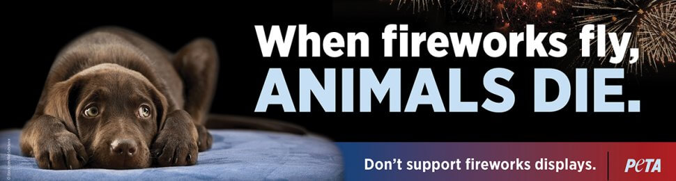 When Fireworks Fly, Animals Die. Don’t Support Fireworks Displays.