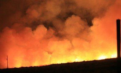 What You NEED to Know About Wildfire Safety