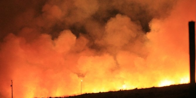 Urgent Information From PETA: Air-Quality Safety Tips to Protect Animals