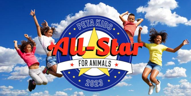 Last Chance! Calling Every All-Star for Animals: It’s Kids’ Time to Shine