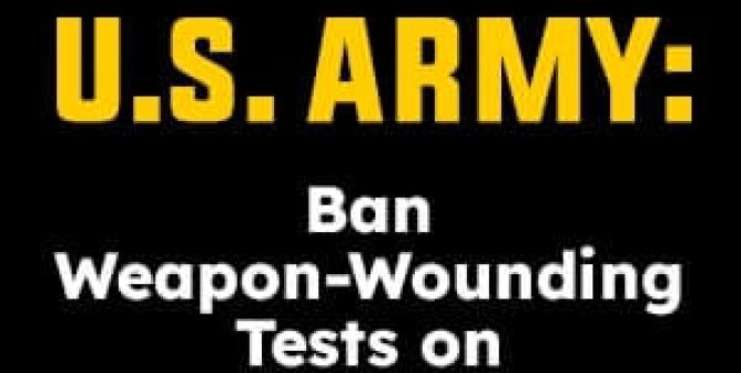 U.S. Army: Ban Weapon-Wounding Tests On Animals Now. (Web Ad)