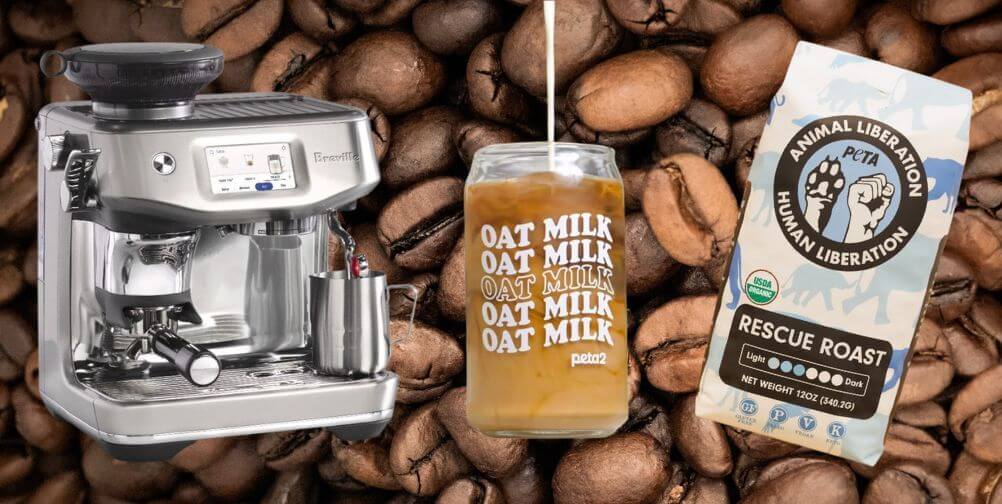 The Espresso Reward Information You have ‘Bean’ Taking a look For