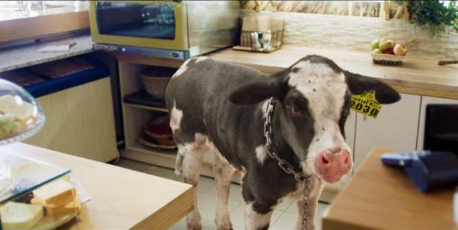 VIDEO: Here’s Why the Cost of Dairy Is ‘Too Much’