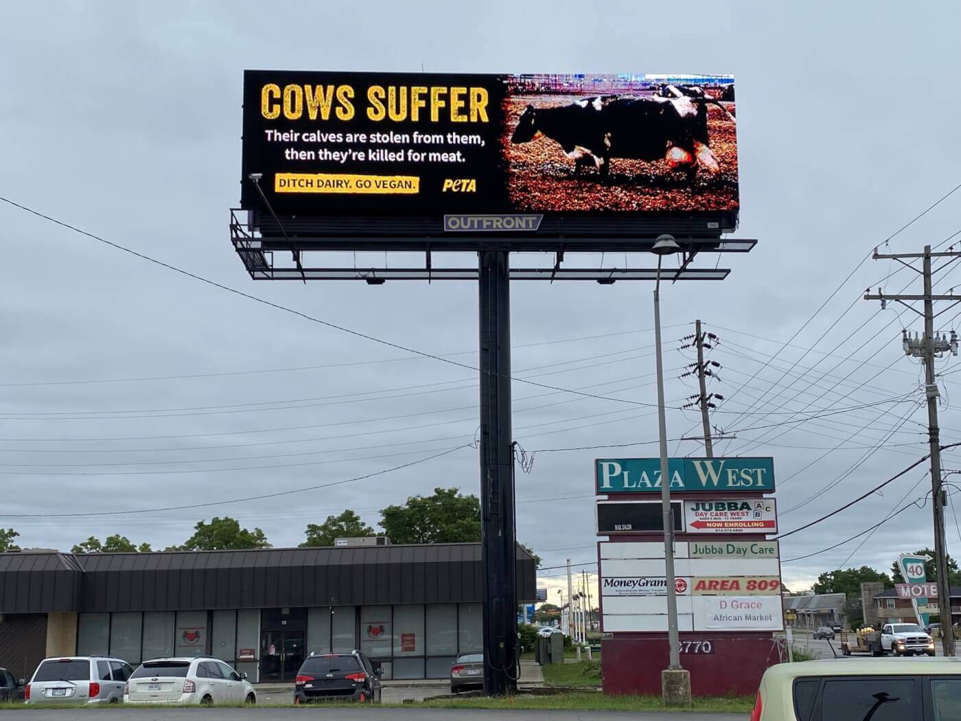 PETA