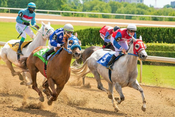 group of humans riding horses in race