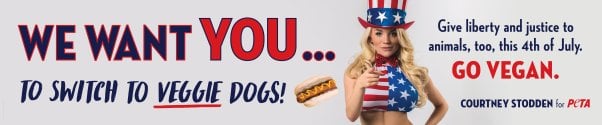 Courtney Stodden wants you to switch to veggie dogs