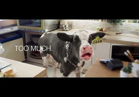 VIDEO: Here’s Why the Cost of Dairy Is ‘Too Much’