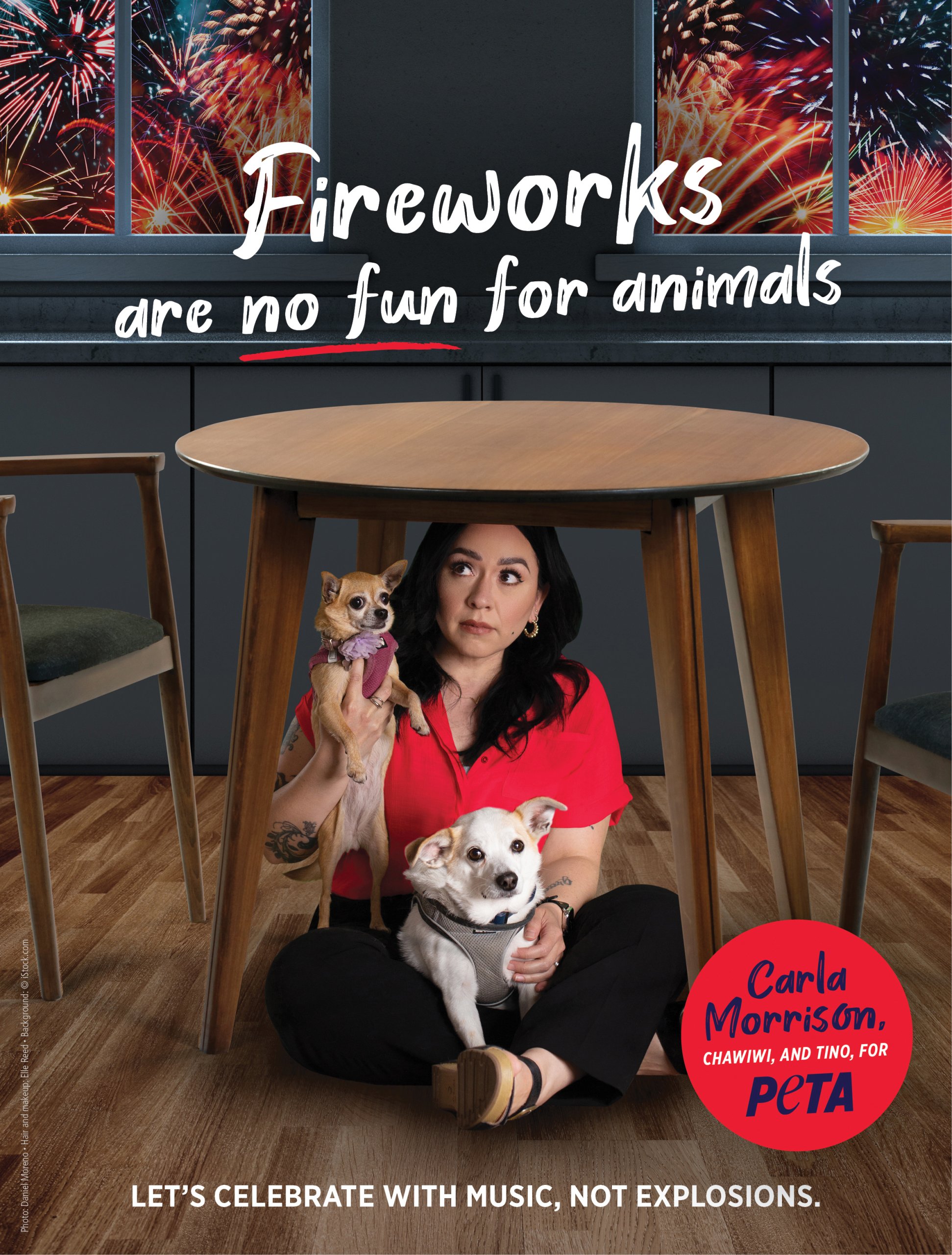 Ad of Carla Morrison hiding under a table with two dogs as superimposed fireworks shoot outside. The text reads fireworks are no fun for animals