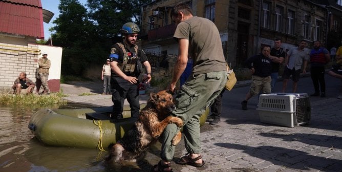 ARK rescuing dog in flooding in Ukraine