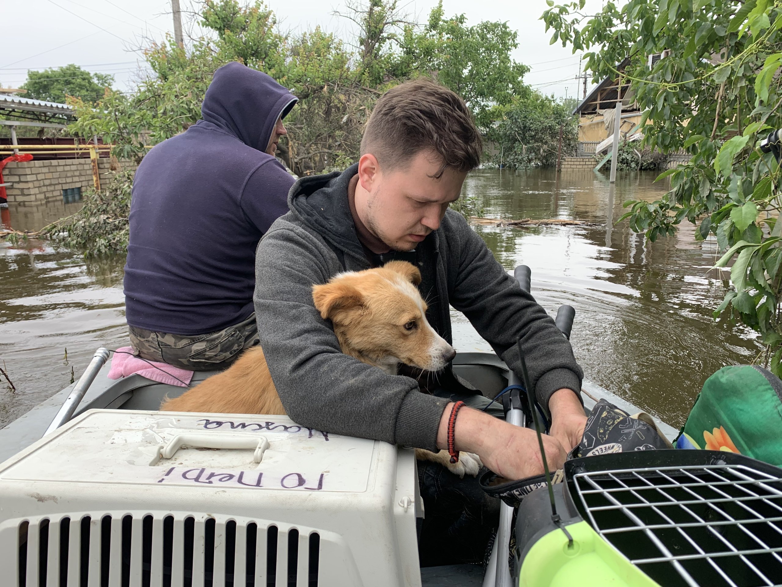 ukraine rescue team with dog in flood waters