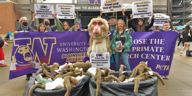 uw dorothy group shot