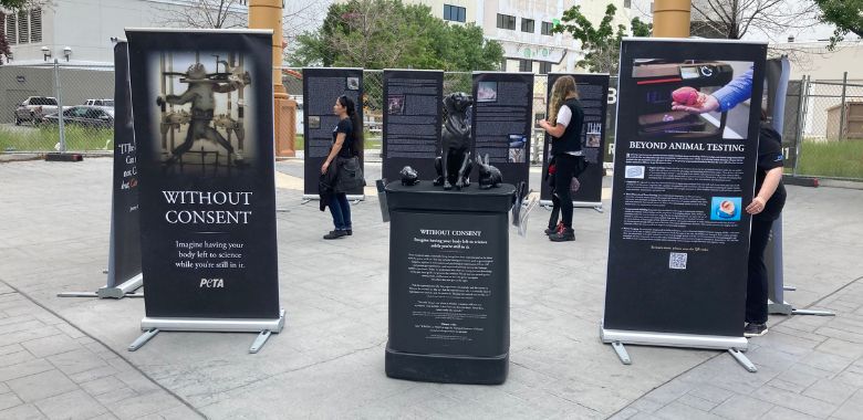 Passersby Given an Important History Lesson at PETA’s ‘Without Consent’ Exhibit
