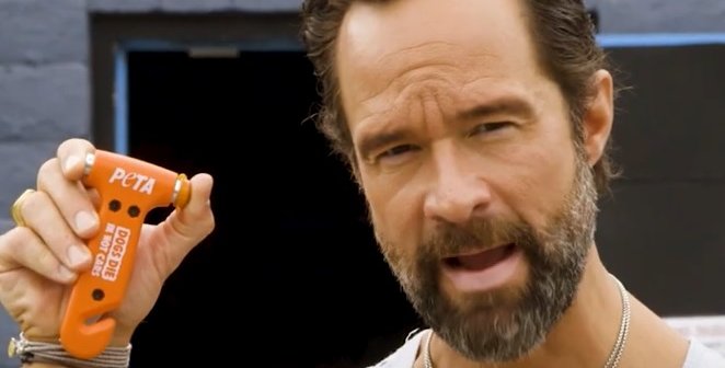 Chris Diamantopoulos: Dogs In Hot Cars 1:30