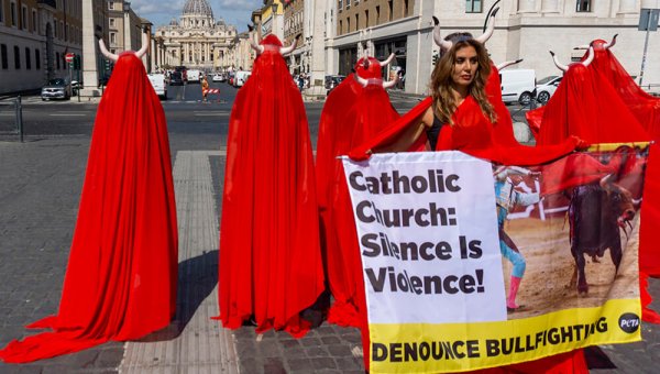 Urge Pope Francis to Condemn Bull Torture