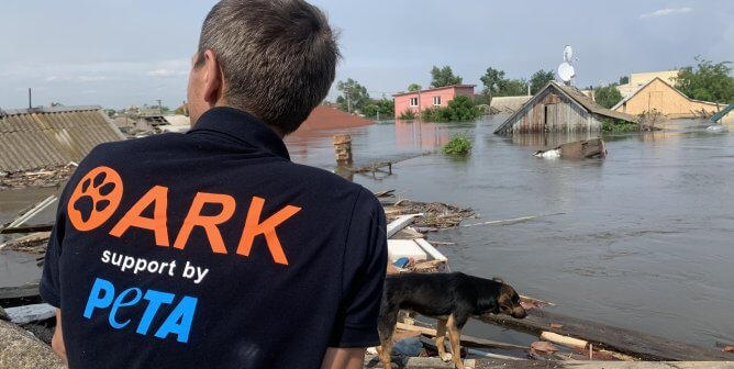 Front Line Animal Rescuer in Ukraine: Infinitely Grateful for PETA