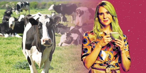 Cow in a field with many other white and black cows, Kate Nash from Coffee Wars movie poster with pink speckled background