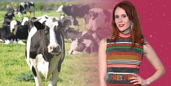 Cow in a field with many other white and black cows, Kate Nash from Coffee Wars movie poster with pink speckled background