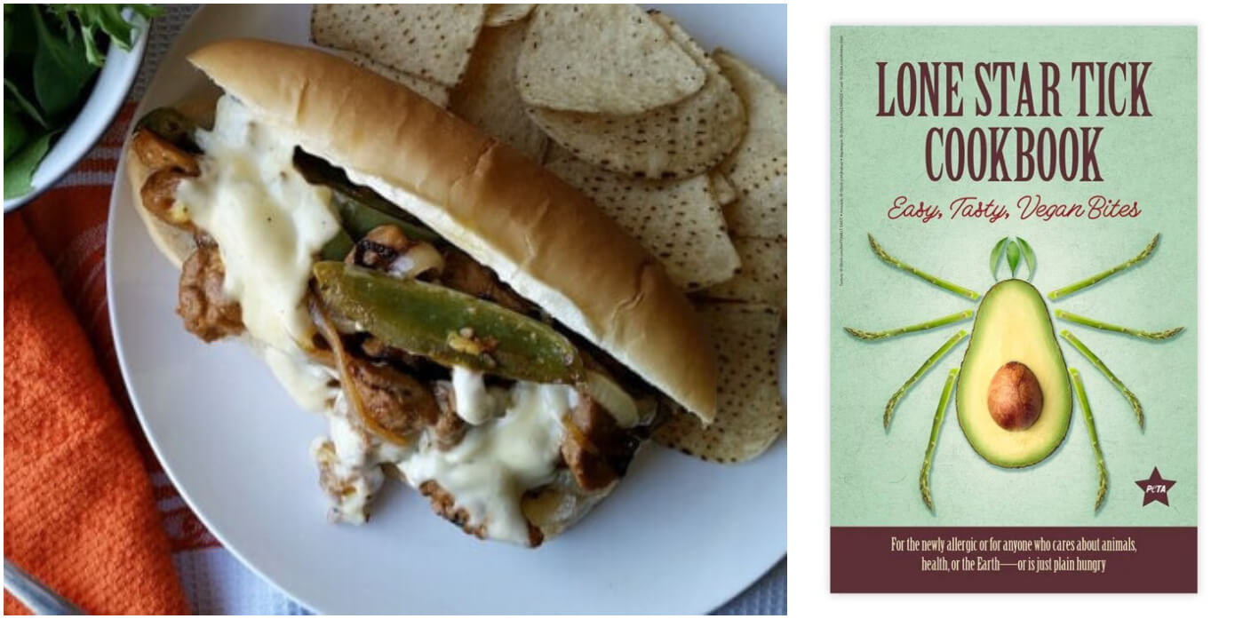 ‘Lone Superstar Tick Cookbook’ for Alpha-Gal Syndrome