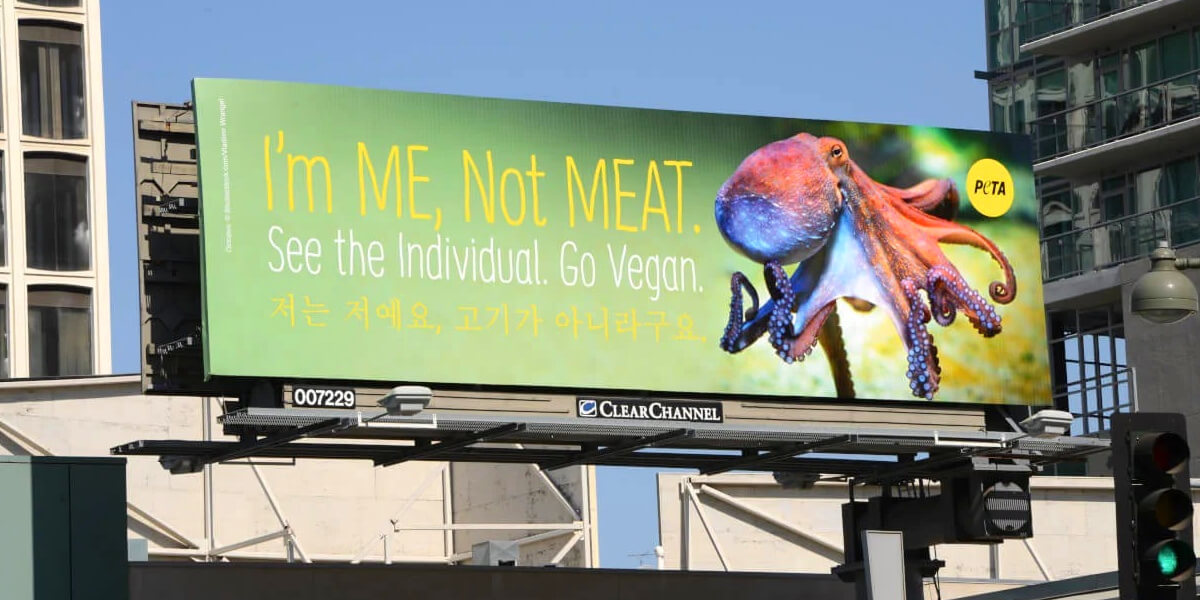 a peta billboard with an octopus on it that says im me not meat