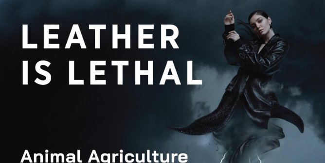 Leather Is Lethal. Animal Agriculture Is Killing The Planet. Wear Vegan.