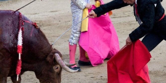 matador stabs a bull in the neck after the Running of the Bulls in Pamplona