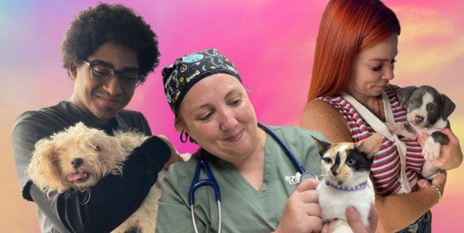 three humans holding cats and dogs with pink/purple background