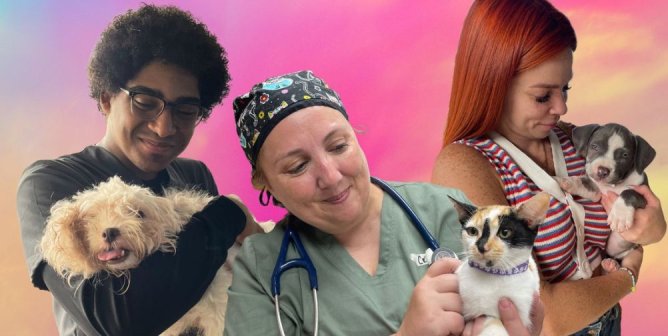 three humans holding cats and dogs with pink/purple background
