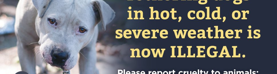Tethering Dogs In Hot, Cold, Or Severe Weather Is Illegal