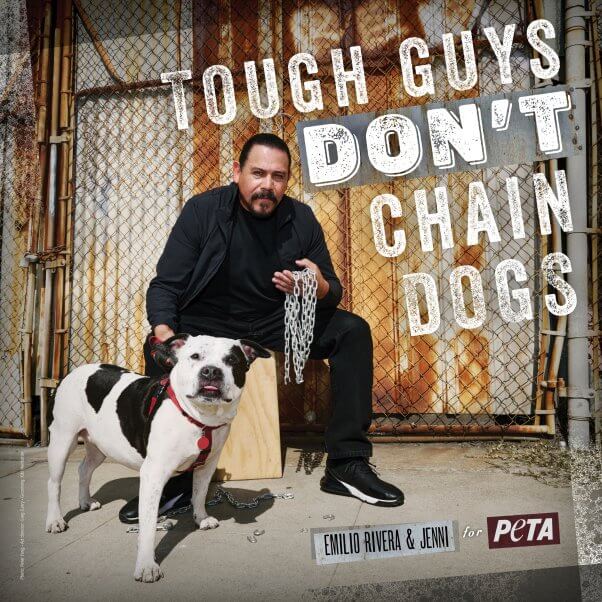 Emilio Rivera stars in a PETA anti dog-chaining ad