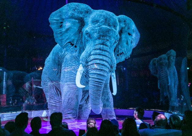 The Curtain Falls on Animal Acts