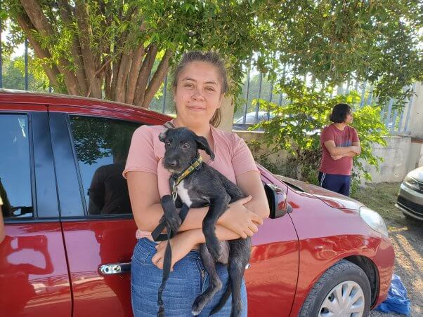 happy dog at spay neuter event