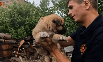 Vegan Meals for Soldiers and More: See How PETA-Supported Teams Are Making an Impact in Ukraine