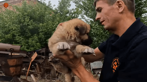 holding rescued pup ARK