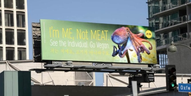 A PETA "I'm Me Not Meat" billboard in Los Angeles