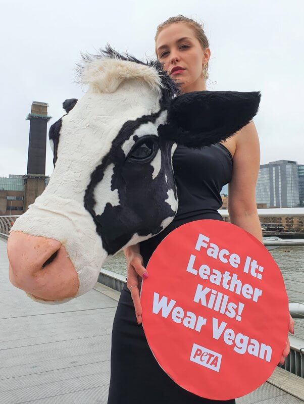 Following the stir caused by Schiaparelli’s three-dimensional animal head designs, PETA supporters around the world strutted their own vegan versions.