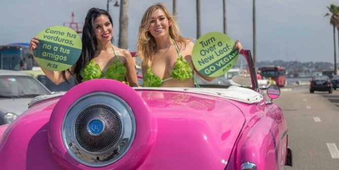 PETA Helps Barbie and Ken Get Busy for Animals