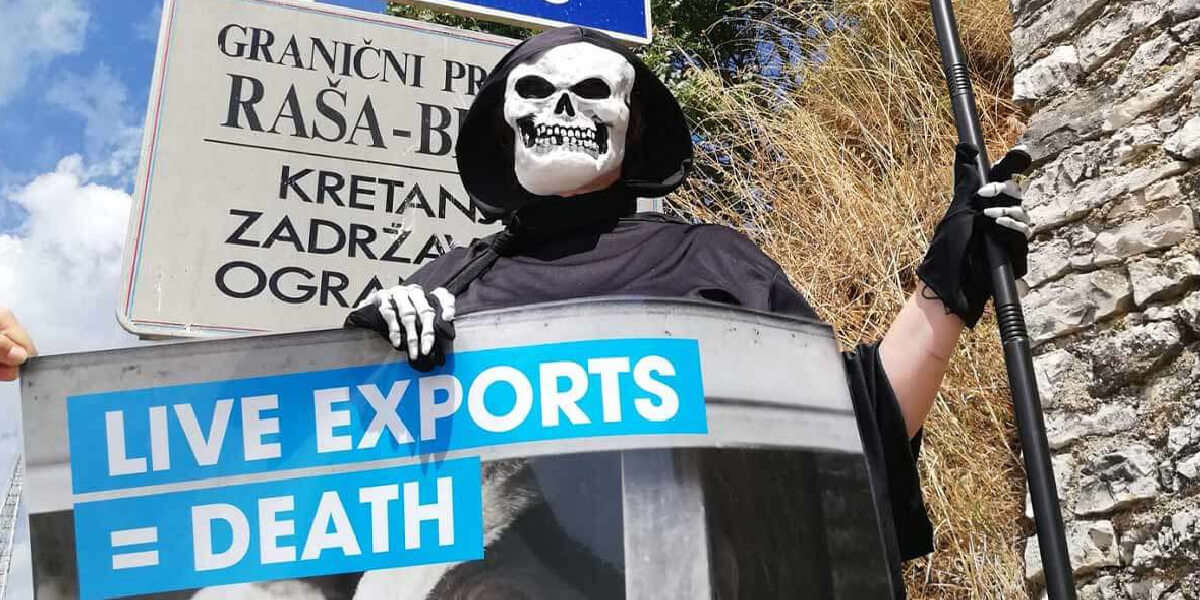 a man in a grim reaper costume protesting against live exports of animals