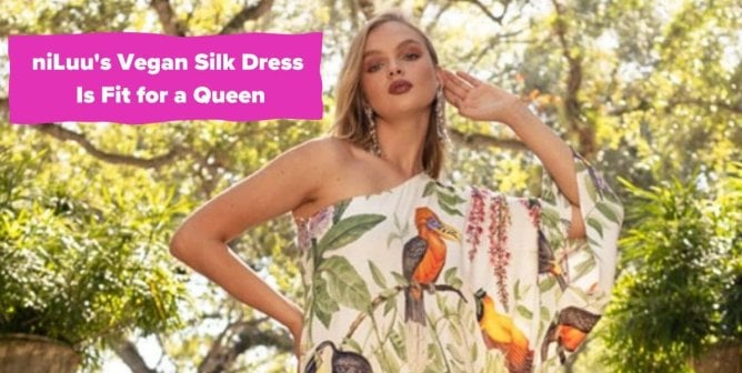 A model wears a niLuu brand vegan silk dress