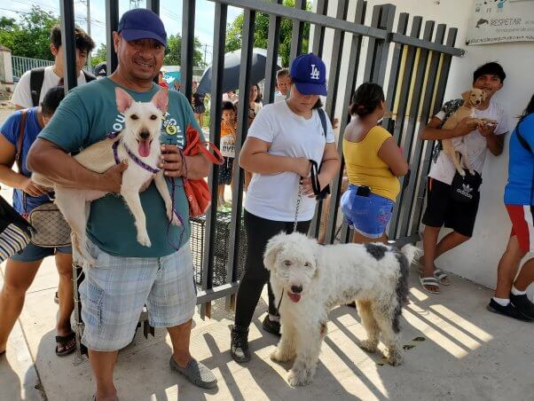 people waiting for spay neuter at Mexico clinic