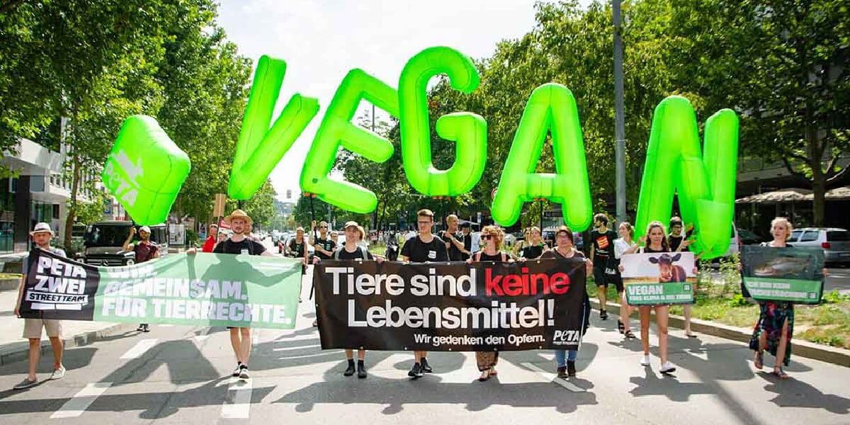 a crowd of people march holding signs for animal rights