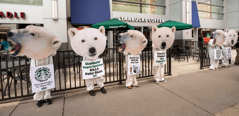 ‘Polar Bears’ Swarm Starbucks Over Pro-Dairy Policy