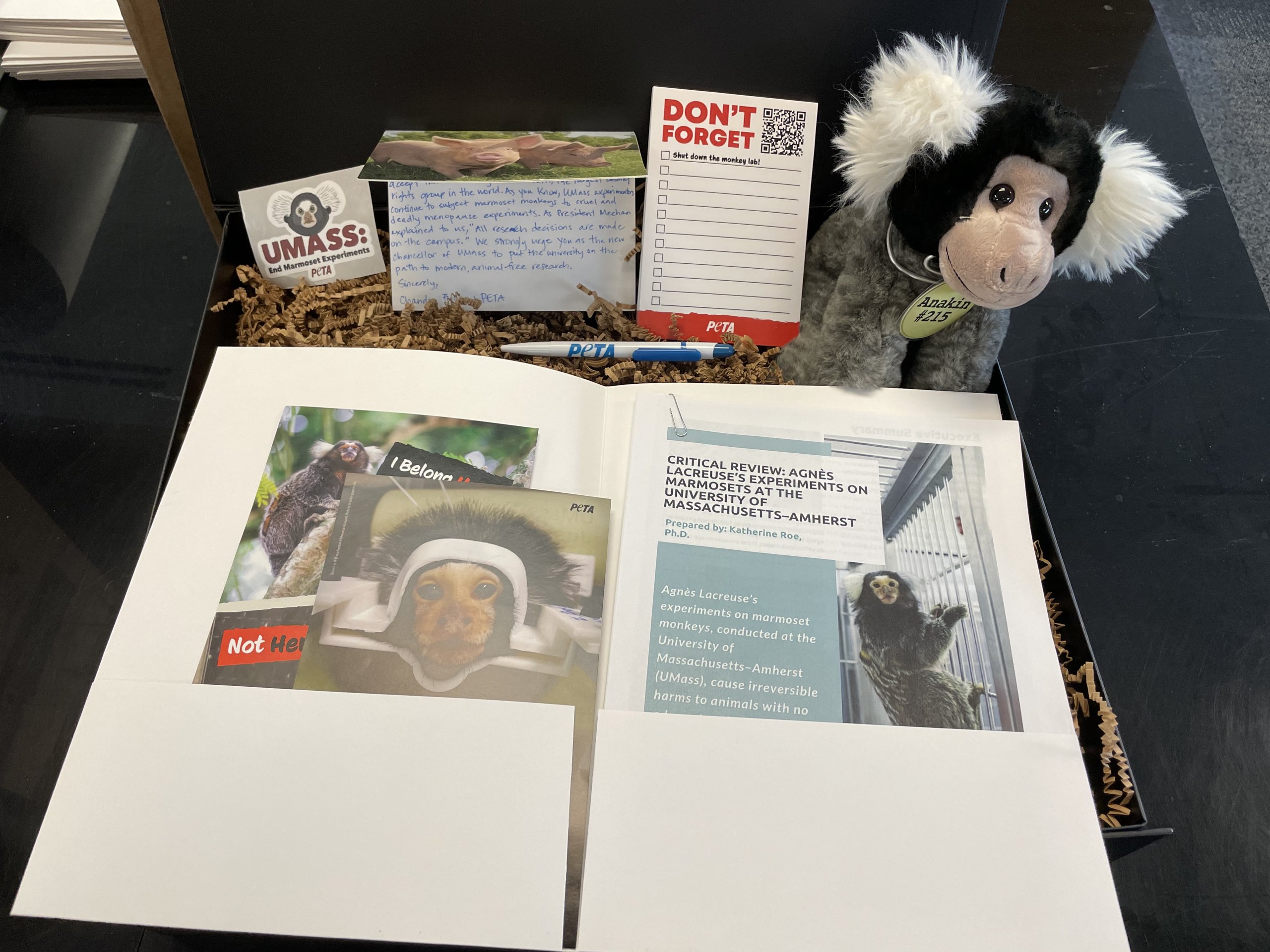 Gift box with leaflets, stickers, and a marmoset plush