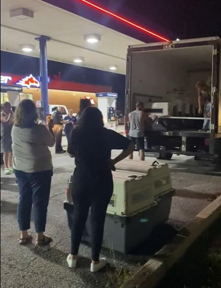 Just about 20 Canine Hauled in Scorching Field Truck, 8 Die—however No Investigation? Urge Native Officers to Act!