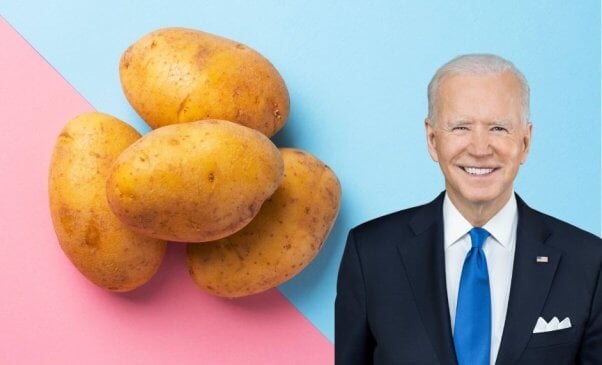 Pres. Biden next to a small group of yellow potatoes on a pink/blue background